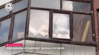 Плюшкины отравляют жизнь соседям Плюшкины отравляют жизнь соседям