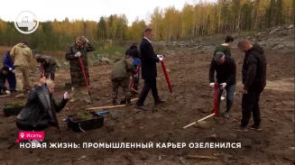 Новая жизнь: промышленный карьер озеленился Новая жизнь: промышленный карьер озеленился