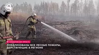Локализованы все лесные пожары, действующие в регионе Локализованы все лесные пожары, действующие в регионе