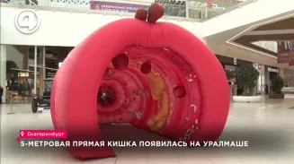 5-метровая прямая кишка появилась на Уралмаше 5-метровая прямая кишка появилась на Уралмаше