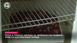 Мухи и грязная одежда на лепёшках из тандыра: рейд по шаурмичным города Мухи и грязная одежда на лепёшках из тандыра: рейд по шаурмичным города