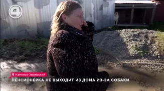Заложницей собственного дома стала пенсионерка в Каменске-Уральском Заложницей собственного дома стала пенсионерка в Каменске-Уральском