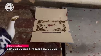 Подпольную кухню обнаружили екатеринбургские общественники на Химмаше