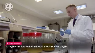 Студенты уральского экономического университета пристрастились к яблочкам