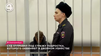 Суд отправил под стражу подростка, которого обвиняют в двойном убийстве Суд отправил под стражу подростка, которого обвиняют в двойном убийстве