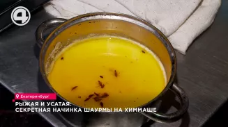 Рыжая и усатая: секретная начинка шаурмы на Химмаше Рыжая и усатая: секретная начинка шаурмы на Химмаше