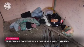 Бездомные поселились в подъезде многоэтажки Бездомные поселились в подъезде многоэтажки