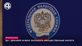 До 1 декабря нужно заплатить имущественные налоги До 1 декабря нужно заплатить имущественные налоги