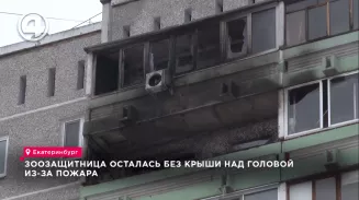 Зоозащитница осталась без крыши над головой из-за пожара Зоозащитница осталась без крыши над головой из-за пожара
