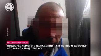 Подозреваемого в нападении на 8-летнюю девочку отправили под стражу Подозреваемого в нападении на 8-летнюю девочку отправили под стражу