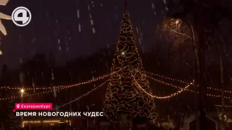 Время новогодних чудес Время новогодних чудес
