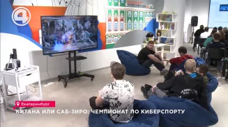 Китана или Саб-Зиро: чемпионат по киберспорту Китана или Саб-Зиро: чемпионат по киберспорту