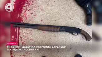 14-летняя девочка устроила стрельбу по одноклассникам 14-летняя девочка устроила стрельбу по одноклассникам