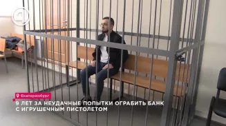 Вора-неудачника суд отправил в колонию на 9,5 лет Вора-неудачника суд отправил в колонию на 9,5 лет