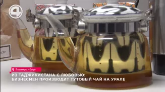 Из Таджикистана с любовью: бизнесмен производит тутовый чай на Урале