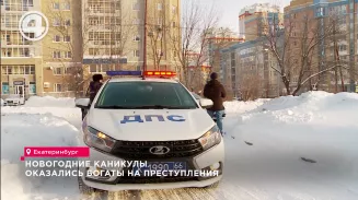 Новогодние каникулы оказались богаты на преступления