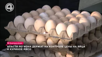 Власти региона держат на контроле цены на яйца и куриное мясо Власти региона держат на контроле цены на яйца и куриное мясо