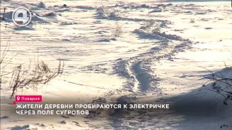 Жители деревни пробираются к электричке через поле сугробов