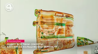 Знают все твои секреты: закулисье Кольцовской таможни Знают все твои секреты: закулисье Кольцовской таможни