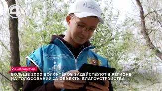 Больше 2000 волонтёров задействуют в регионе на голосовании за объекты благоустройства Больше 2000 волонтёров задействуют в регионе на голосовании за объекты благоустройства