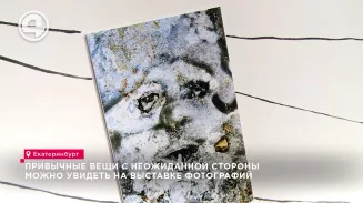 Привычные вещи с неожиданной стороны можно увидеть на выставке фотографий Привычные вещи с неожиданной стороны можно увидеть на выставке фотографий
