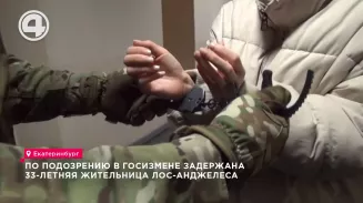 По подозрению в госизмене задержана 33-летняя жительница Лос-Анджелеса По подозрению в госизмене задержана 33-летняя жительница Лос-Анджелеса