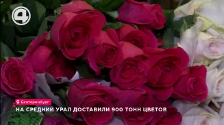 На Средний Урал доставили 900 тонн цветов На Средний Урал доставили 900 тонн цветов