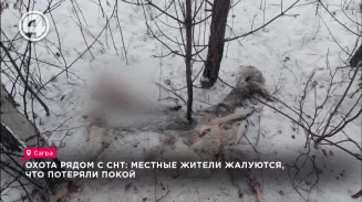 Охота рядом с СНТ: местные жители жалуются, что потеряли покой Охота рядом с СНТ: местные жители жалуются, что потеряли покой