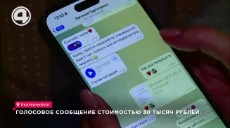 Голосовое сообщение стоимостью 30 тысяч рублей Голосовое сообщение стоимостью 30 тысяч рублей
