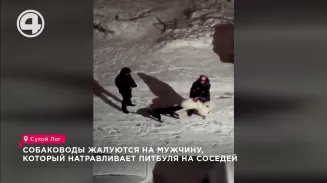 Собаководы жалуются на мужчину, который натравливает питбуля на соседей Собаководы жалуются на мужчину, который натравливает питбуля на соседей