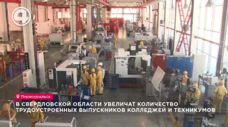 В Свердловской области увеличат количество трудоустроенных выпускников колледжей и техникумов В Свердловской области увеличат количество трудоустроенных выпускников колледжей и техникумов