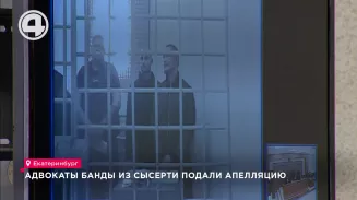 Адвокаты банды из Сысерти подали апелляцию Адвокаты банды из Сысерти подали апелляцию