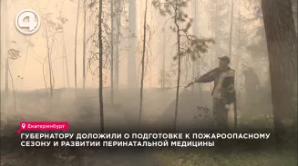 Губернатору доложили о подготовке к пожароопасному сезону и развитии перинатальной медицины