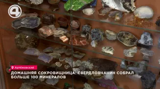 Домашняя сокровищница: свердловчанин собрал больше 100 минералов