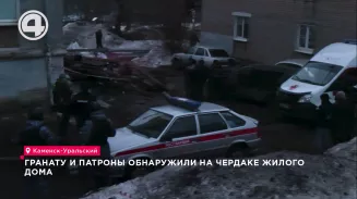 Гранату и патроны обнаружили на чердаке жилого дома