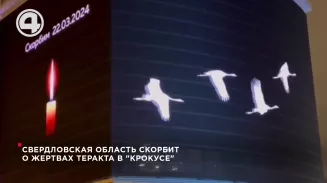 Свердловская область скорбит о жертвах теракта в "Крокусе" Свердловская область скорбит о жертвах теракта в "Крокусе"