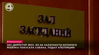 Экс-директор ЖКХ, из-за халатности которого ребёнка покусала собака, подал апелляцию Экс-директор ЖКХ, из-за халатности которого ребёнка покусала собака, подал апелляцию
