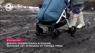 Дорога превратилась в пашню: жителей СНТ отрезала от города грязь Дорога превратилась в пашню: жителей СНТ отрезала от города грязь