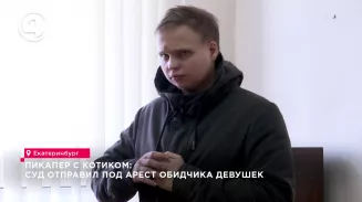 Пикапер с котиком: суд отправил под арест обидчика девушек Пикапер с котиком: суд отправил под арест обидчика девушек