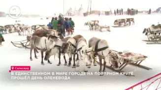 В единственном в мире городе на полярном круге прошёл День оленевода В единственном в мире городе на полярном круге прошёл День оленевода