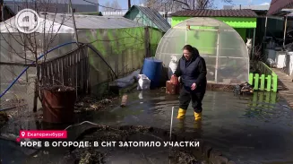 Море в огороде: в СНТ затопило участки Море в огороде: в СНТ затопило участки