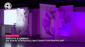 Красота в цифрах: на Урале открылась выставка Play DigitalART Красота в цифрах: на Урале открылась выставка Play DigitalART