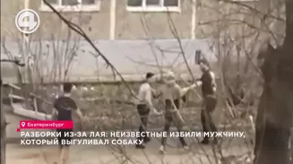 Разборки из-за лая: неизвестные избили мужчину, который выгуливал собаку Разборки из-за лая: неизвестные избили мужчину, который выгуливал собаку