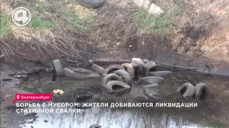 Борьба с мусором: жители добиваются ликвидации стихийной свалки Борьба с мусором: жители добиваются ликвидации стихийной свалки