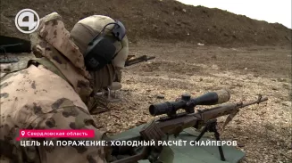 Цель на поражение: холодный расчёт снайперов Цель на поражение: холодный расчёт снайперов