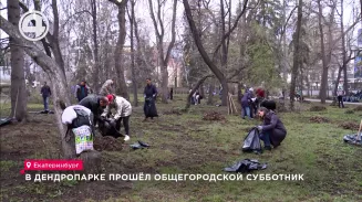 В Дендропарке прошёл общегородской субботник В Дендропарке прошёл общегородской субботник