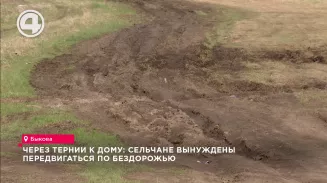 Через тернии к дому: сельчане вынуждены передвигаться по бездорожью Через тернии к дому: сельчане вынуждены передвигаться по бездорожью