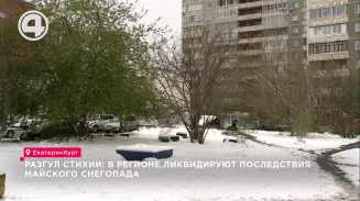 Разгул стихии: в регионе ликвидируют последствия майского снегопада Разгул стихии: в регионе ликвидируют последствия майского снегопада