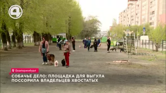 Собачье дело: площадка для выгула поссорила владельцев хвостатых Собачье дело: площадка для выгула поссорила владельцев хвостатых