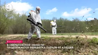 В Свердловской области продолжается обработка парков от клещей В Свердловской области продолжается обработка парков от клещей
